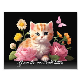 Cute White Kitten Cat in Flower Black Personlig Fototryck