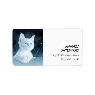 Cute White Kitten med Söt Blue Ögon Adressetikett