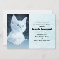 Cute White Kitten med Söt Blue Ögon Birthday