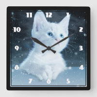 Cute White Kitten med Söt Blue Ögon