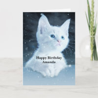 Cute White Kitten med Söt Blue Ögon