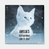 Cute White Kitten med Söt Blue Ögon