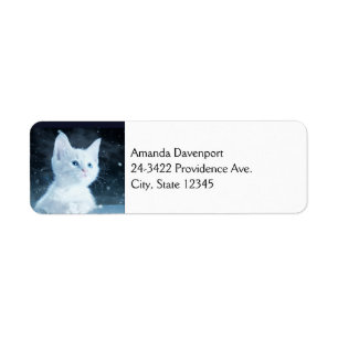 Cute White Kitten med Söt Blue Ögon Returadress Etikett