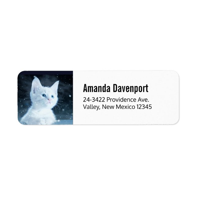 Cute White Kitten med Söt Blue Ögon Returadress Etikett (Framsidan)