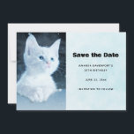 Cute White Kitten med Söt Blue Ögon Spara Datumet<br><div class="desc">Spara datumkortet med ett foto av en vit kort-ledd kattunge med ljusblå ögon. Startar in i avstånd. Tassar korsade i typiska kattunge mode.</div>