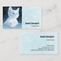 Cute White Kitten med Söt Blue Ögon