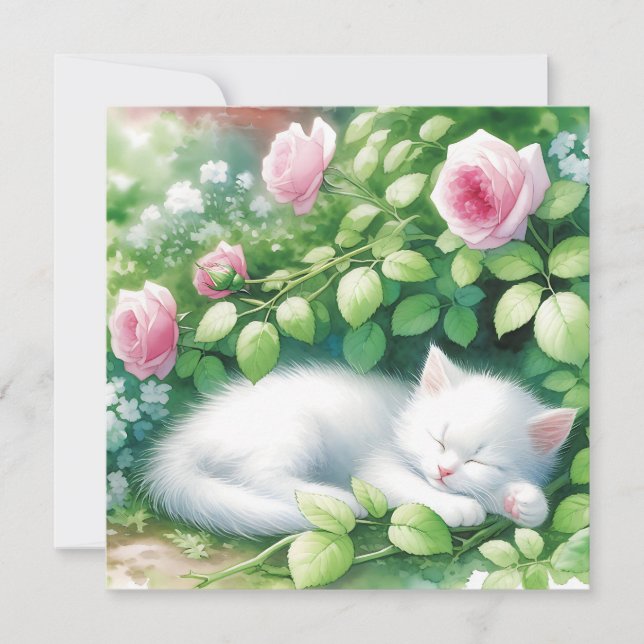 Cute White Kitten Napping under Rosebush (Framsida)