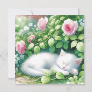 Cute White Kitten Napping under Rosebush
