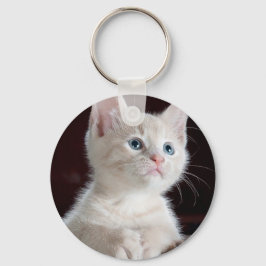 Cute white kitten nyckelring