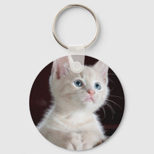 Cute white kitten nyckelring