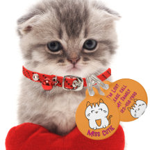 Cute White Kitten Tecknad Kawaii Orange Rosa