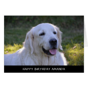 Cute White Labrador Hund Birday Card Hälsningskort