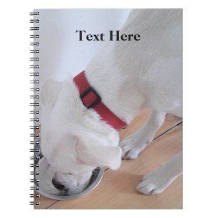 Cute White Labrador Mix Puppy Hund Back to school Anteckningsbok
