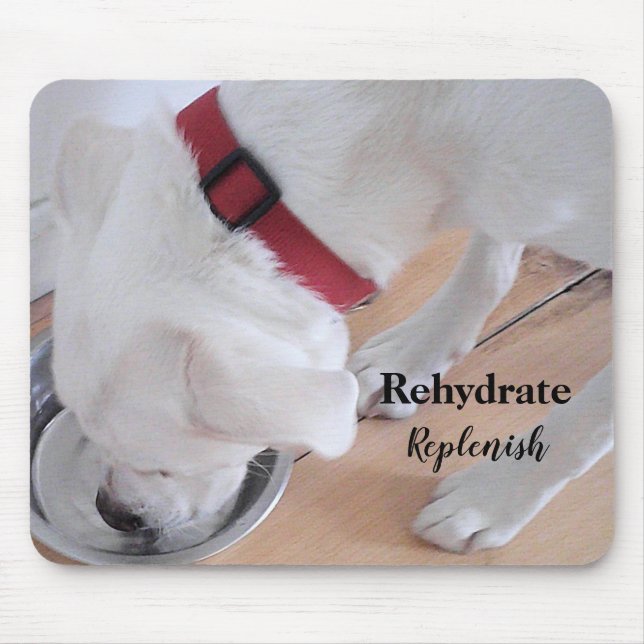Cute White Labrador Mix Puppy Hund Drinking Vatten Musmatta (Framsidan)
