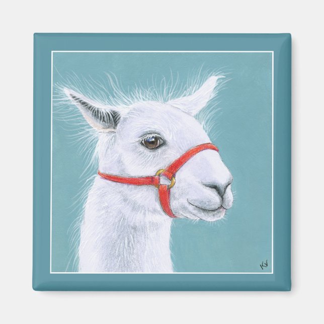 Cute White Llama magnet (Framsidan)