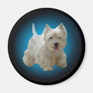 Cute White Maltese Hund Magnet