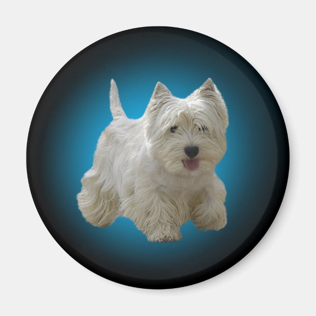 Cute White Maltese Hund Magnet (Framsidan)