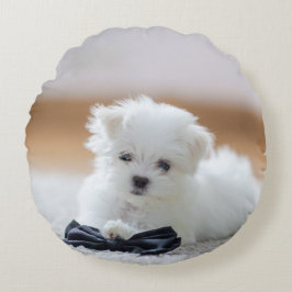 Cute White Maltese Puppy Rund Kudde