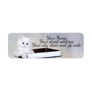 Cute White Persian Kitten Returadress Etikett