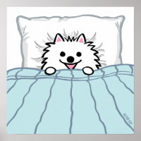 Cute White Pommern Hund Tuckad i Bed