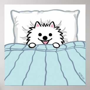 Cute White Pommern Hund Tuckad i Bed Poster