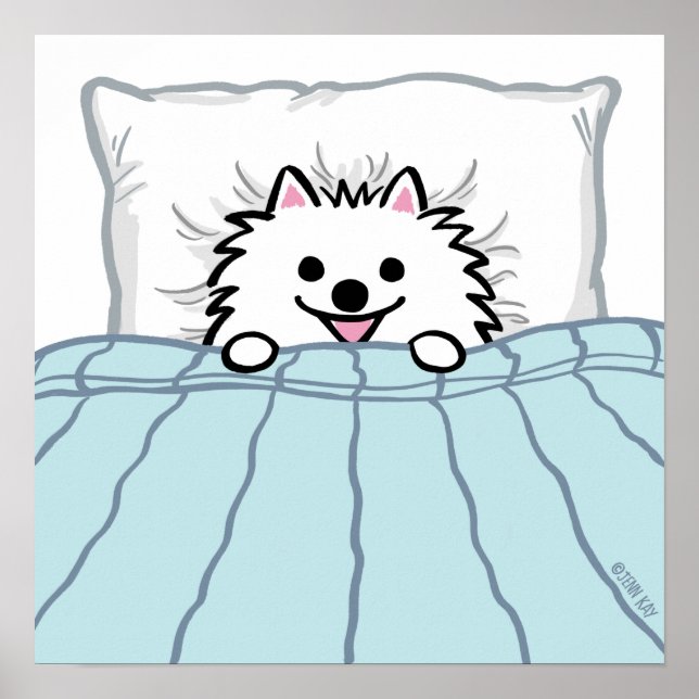 Cute White Pommern Hund Tuckad i Bed Poster (Framsidan)