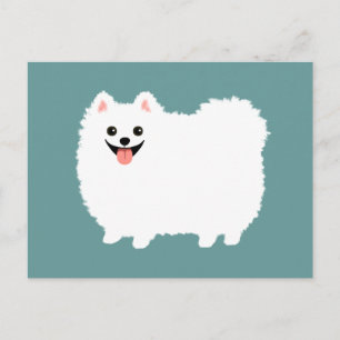 Cute White Pommern Vykort