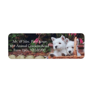 Cute White Puppies Returadress Mailing Stickers Etikett