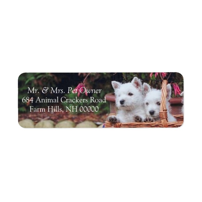 Cute White Puppies Returadress Mailing Stickers Returadress Etikett (Framsidan)