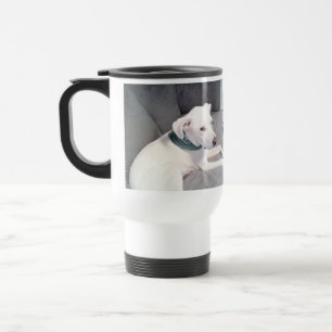 Cute White Puppy Hund Grönt Scarf Grått Resemugg