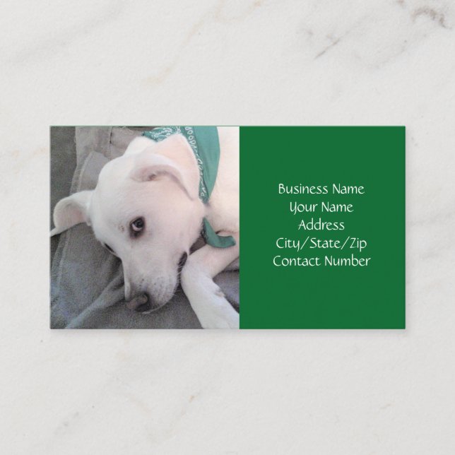 Cute white Puppy Hund med Grönt Scarf Business Visitkort (Framsida)