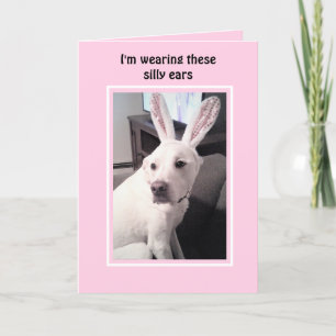 Cute White Puppy Hund med Påskhare Öron Rosa Helgkort