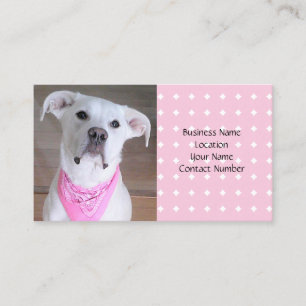 Cute White Puppy Hund med Rosa Scarf Visitkort