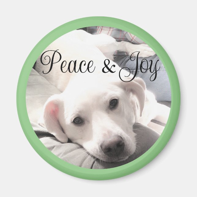 Cute White Puppy Hund Peace and Joy Sage Grönt Magnet (Framsidan)
