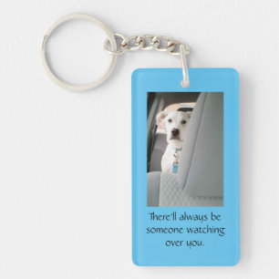 Cute White Puppy Hund som tittar över julen