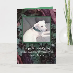 Cute White Puppy Hund St. Patrick Day-Grönt Kort