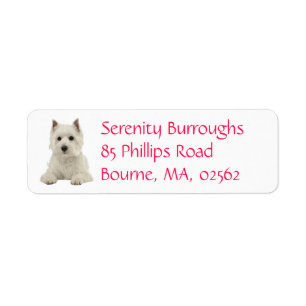 Cute White Puppy Hund Väster Highland Terrier Returadress Etikett