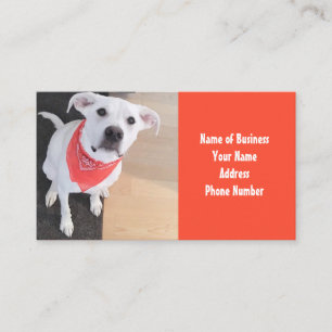 Cute White Puppy Hund Wear Scarf Orange Visitkort