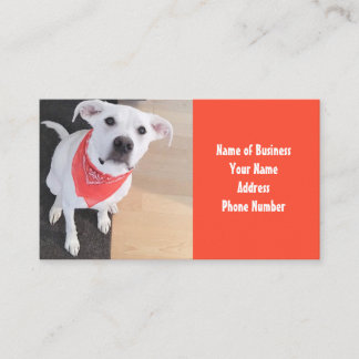Cute White Puppy Hund Wear Scarf Orange Visitkort