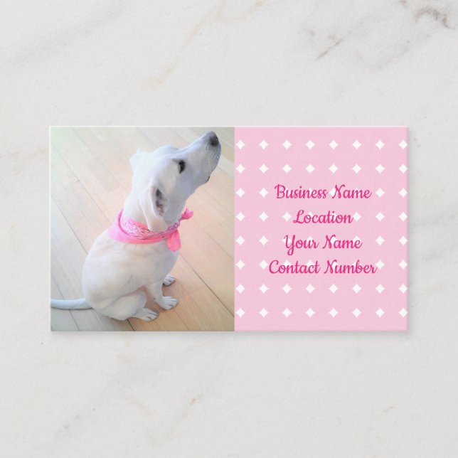 Cute White Puppy Hund Wear Scarf Rosa Pet Visitkort (Framsida)