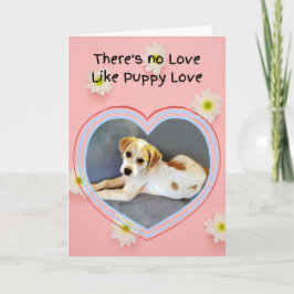 Cute White Puppy Valentine Day Kort
