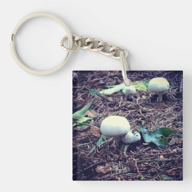 Cute White Svampar (Framsidan)