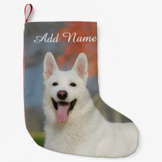 Cute White Swiss Shepherd Hund Photo - Namn Liten Julstrumpa