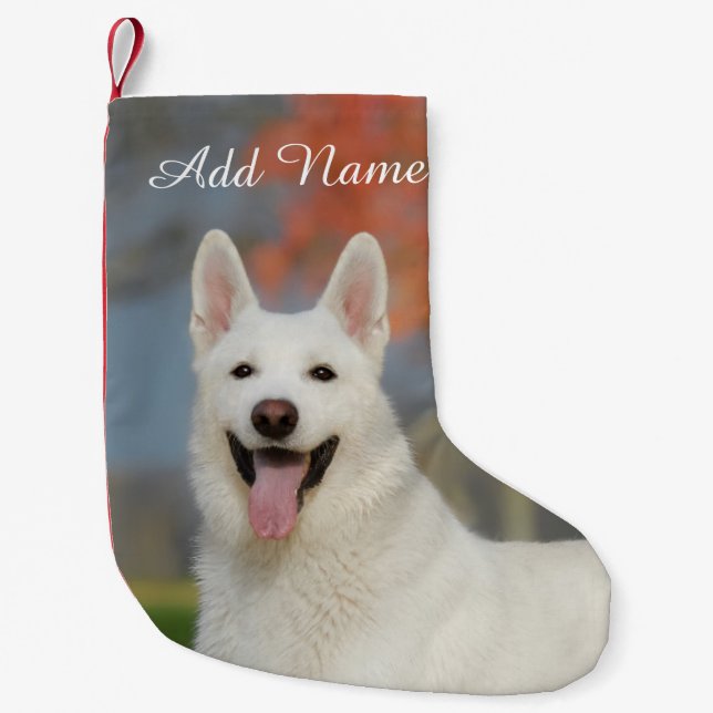 Cute White Swiss Shepherd Hund Photo - Namn Liten Julstrumpa (Framsidan)