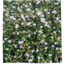 Cute White Wildblommor på grass Photo Print Design