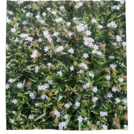 Cute White Wildblommor på grass Photo Print Design