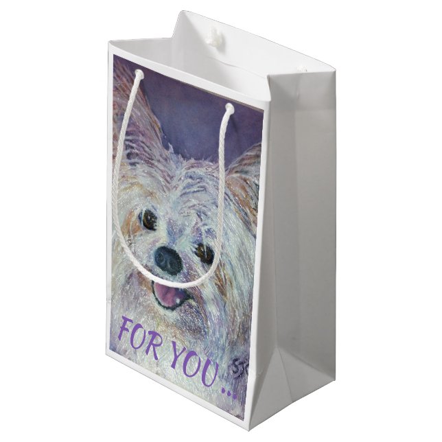 CUTE WHITE YORKIE MIX (Framsidan Vinklad)