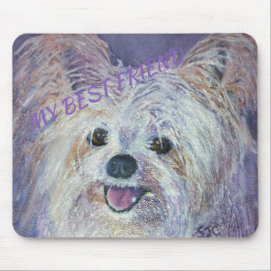CUTE WHITE YORKIE MIX MUSMATTA