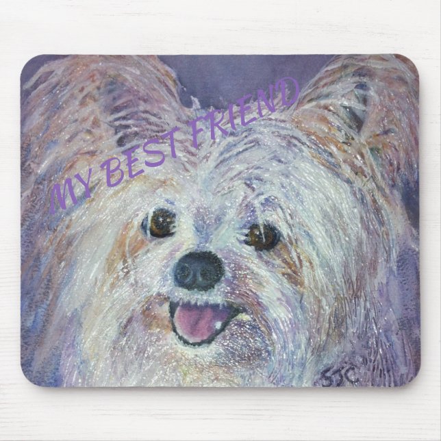 CUTE WHITE YORKIE MIX MUSMATTA (Framsidan)