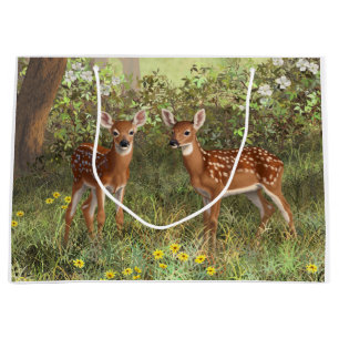 Cute Whitetail Hjort Twin Fawns